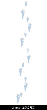 Pistes de rat dans la neige. Empreintes typiques de hotus - illustration d'icône sur fond blanc. Banque D'Images