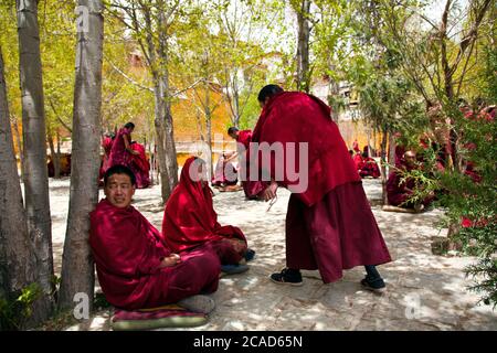 Au monastère de Ganden, Tibet, Chine. Jeunes moines pratiquant la compétence de l'argumentation Banque D'Images