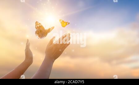 La jeune fille libère le papillon du pot, golden blue moment concept de liberté Banque D'Images