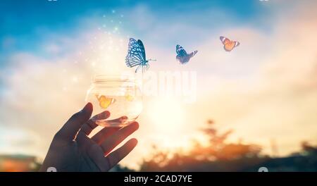 La jeune fille libère le papillon du pot, golden blue moment concept de liberté Banque D'Images