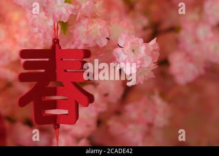 Gros plan sur le mot « Chinese Spring » en tant qu'ornement suspendu sur l'arbre. Arrière-plan flou de fleurs roses. Concept du Festival de printemps Banque D'Images