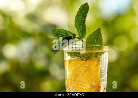 Eau de citron avec menthe dans un verre. Jardin d'été. Banque D'Images