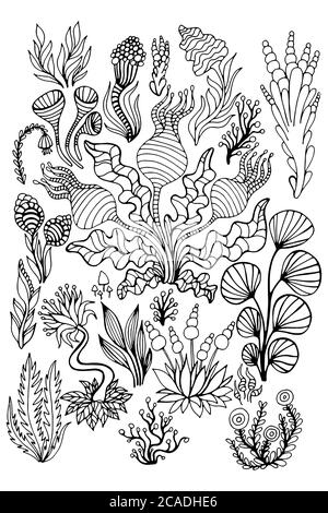 Grand ensemble noir et blanc abstrait Doodle plantes surréalistes, fleurs, champignons, arrière-plan isolé. Illustration de Vecteur