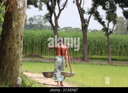 Agriculteur asiatique transportant des outils agricoles (bêche, bols) pour travailler dans les terres agricoles les plus proches dans une zone rurale du Bangladesh Banque D'Images