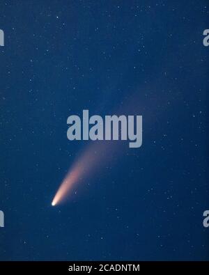 Survol - Rock, glace, et la comète de poussière NEOWISE montre ses deux queues - le plus grand, de gaz et de poussière - l'autre, d'ions. Comté de Sonoma, Californie, États-Unis. Banque D'Images