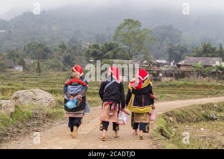 Ta PHIN, AJO CAI, VIETNAM - 21 NOVEMBRE 2014 : femme du groupe minoritaire Red Dao portant une coiffure traditionnelle près du village de Ban Ho, district de Sapa, Lao Cai, Banque D'Images