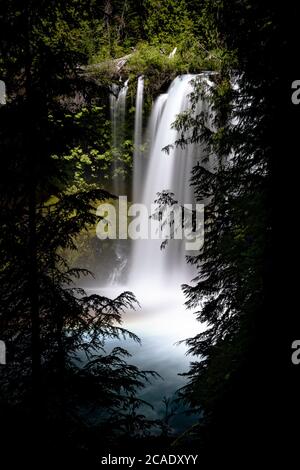 Koosah Falls sur la rivière McKenzie dans l'Oregon Banque D'Images