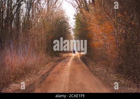 Motocycliste dans une forêt d'automne à couper le souffle, marchant sur un chemin naturel. Route le soir au coucher du soleil d'automne. Motocycliste en route dans la forêt d'automne. Banque D'Images