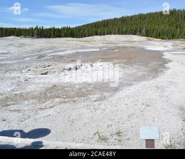 PARC NATIONAL DE YELLOWSTONE, WYOMING - 8 JUIN 2017 : Plume Geyser dans le groupe Geyser Hill dans le bassin supérieur de Geyser Banque D'Images