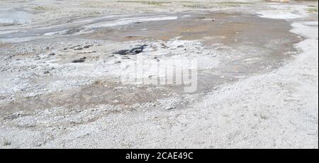 Fin du printemps dans le parc national de Yellowstone: Plume Geyser dans le groupe Geyser Hill dans le bassin supérieur de Geyser Banque D'Images