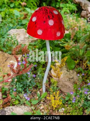 Gros plan POV d'un joli, rouge avec des points blancs, en forme de champignon, décoration décorative de jardin, debout dans le sol dans un jardin / verge rockery. Banque D'Images