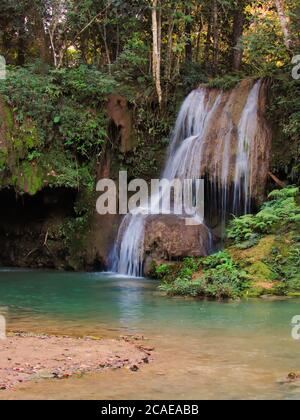 Image portrait d'une cascade paradisiaque, émergeant des arbres d'une forêt et s'écoulant à travers les rochers mousseux. Banque D'Images