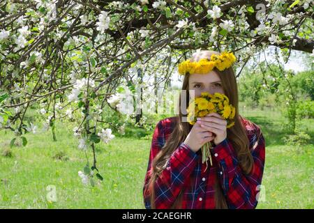 Une fille dans une couronne de pissenlits se tient sous un pommier en fleur et sniffs un bouquet Banque D'Images