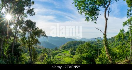 Vue panoramique sur la forêt verte le matin, Ella, Sri Lanka. Sunstar dans le ciel bleu Banque D'Images