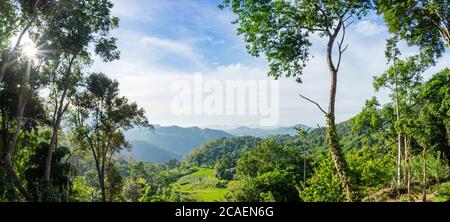 Vue panoramique sur la forêt verte le matin, Ella, Sri Lanka. Sunstar dans le ciel bleu Banque D'Images