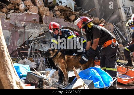 Beyrouth, Liban. 6 août 2020. Des pompiers libanais entrent dans un bâtiment qui s'est effondré dans la région de Gemmayze pour secourir un chien emprisonné plus de 40 heures après une explosion catastrophique dans le port de la capitale qui a causé des dommages aux bâtiments de la ville. Crédit : Elizabeth FITT/Alay Live News Banque D'Images