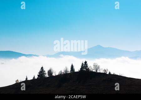 Paysage estival pittoresque en journée de brouillard dans les montagnes Carpates. Silhouette d'arbres sur fond de chaîne de montagnes Banque D'Images