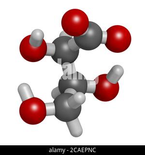 Molécule d'acide L-Threonic. Rendu 3D. Les atomes sont représentés sous forme de sphères avec un codage couleur conventionnel : hydrogène (blanc), carbone (gris), oxygène (rouge) Banque D'Images