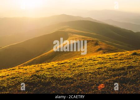 L'herbe jaune tremblant dans le vent dans les montagnes d'automne au lever du soleil. Carpates, l'Ukraine. Photographie de paysage Banque D'Images