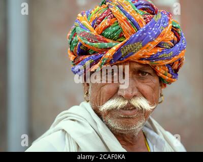 L'ancien Indien Rajasthani homme avec une grosse moustache porte un rajasthani turban coloré (pagari) et regarde la caméra. Banque D'Images