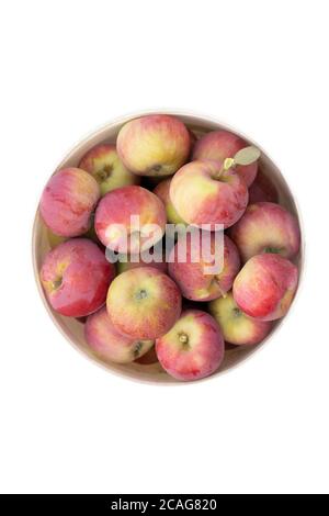 Pommes rouges en seau isolées sur blanc. Vue de dessus avec espace de copie. Banque D'Images
