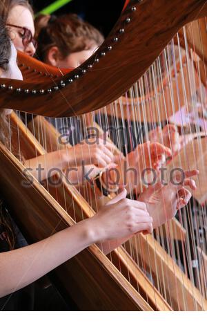 Musicien irlandais jouant sur scène au festival de musique Fleadh Chhuile à Drogheda, en Irlande. Banque D'Images