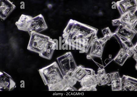 Vue microscopique des cristaux de chlorure de sodium. Éclairage de fond noir. Banque D'Images
