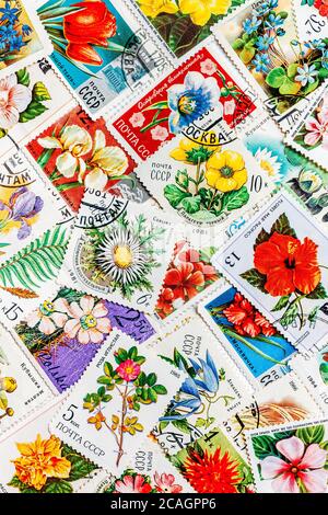 Les timbres imprimés en URSS montrent des fleurs Banque D'Images