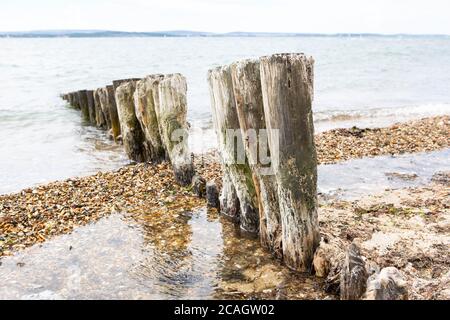 Perches en bois sur la plage de galets Banque D'Images