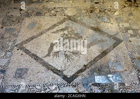 08.08.2018, Tindari, Sicile, Italie - mosaïque antique. Représentation précoce de la Trinacria, symbole de la forme triangulaire de l'île de Sicile. 00U180 Banque D'Images