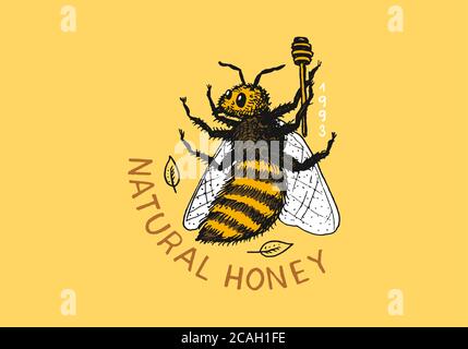 Miel et abeilles. Logo vintage pour la typographie, la boutique ou les enseignes. Badge pour tee-shirts. Esquisse de gravure dessinée à la main. Illustration vectorielle. Illustration de Vecteur