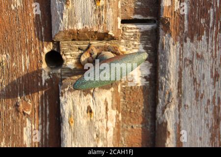 Meubles de porte usés sur un verrou de porte en bois en décomposition abîmé Banque D'Images