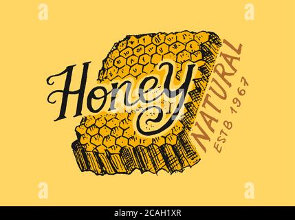 Miel et abeilles. Logo vintage pour la typographie, la boutique ou les enseignes. Badge pour tee-shirts. Esquisse de gravure dessinée à la main. Illustration vectorielle. Illustration de Vecteur
