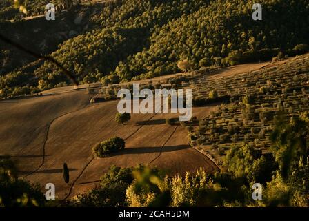 campagna della val d'orcia Banque D'Images