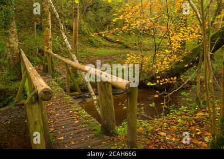 Passerelle au-dessus de la rivière Silver sur la Slieve Bloom Way, Comté d'Offaly, Irlande. Banque D'Images