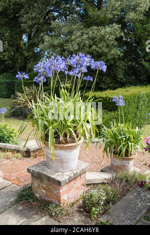 La maison et les jardins de la National Trust Hinton Ampner dans le hampshire Banque D'Images