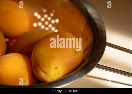 Abricots mûrs juteux dans une passoire en métal sur une table en bois clair au soleil. Gros plan Banque D'Images