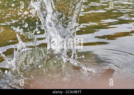 Gros plan de gouttelettes d'eau rondes sur des cercles le lac Banque D'Images