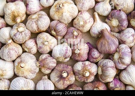 Texture de la pile d'ail blanc. Ail frais sur la table du marché. Vitamines aliments sains épices. Épicé. Pile de têtes d'ail blanches. Banque D'Images