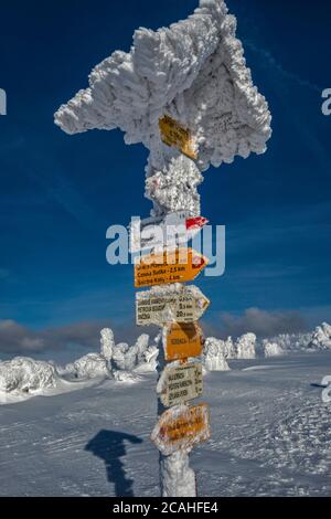 Panneau de sentier, glace et neige enfermés, à Graniczna Łąka (Border Meadow) près du sommet de Szrenica, parc national de Karkonosze, Pologne/République tchèque Banque D'Images