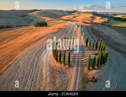 Vue aérienne et verticale du célèbre cercle de cyprès. Coucher de soleil coloré sur une route de gravier menant à travers un cercle de cyprès. Toscane pays Banque D'Images