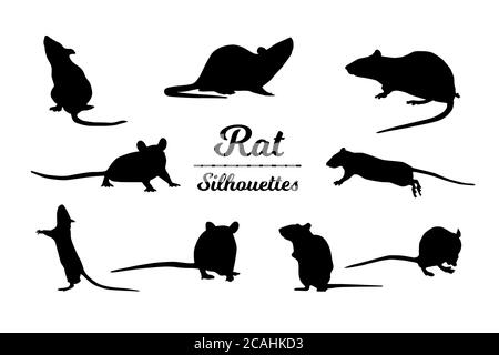 Silhouettes animaux de rat. Contour noir et blanc. Illustration de Vecteur