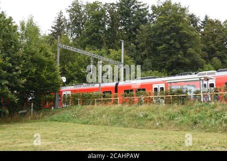 Petite plate-forme ferroviaire pour les passagers en train local à la gare de Ringlikon avec train rouge en direction de la montagne Uetliberg sur le plateau suisse. Banque D'Images