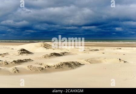 Dunes de sable baignées de soleil sous un ciel menaçant dans cette scène de plage d'automne prise à Berck, France. Banque D'Images