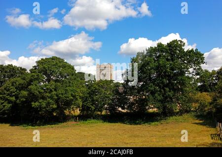 Vue sur la tour de l'église paroissiale de St Edmund au-dessus des arbres environnants dans la campagne de Norfolk à Caistor St Edmund, Norfolk, Angleterre, Royaume-Uni. Banque D'Images