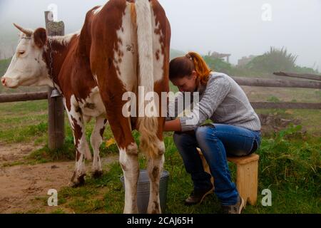 la fille obtient du lait naturel - laite une vache dans une ferme dans les montagnes carpathes Banque D'Images