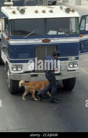 El Paso, Texas États-Unis : un agent des douanes et de la protection des frontières vérifie un camion commercial traversant la frontière entre le Mexique et les États-Unis pour détecter d'éventuelles drogues cachées dans le véhicule à l'aide d'un chien dressé. ©Bob Daemmrich Banque D'Images