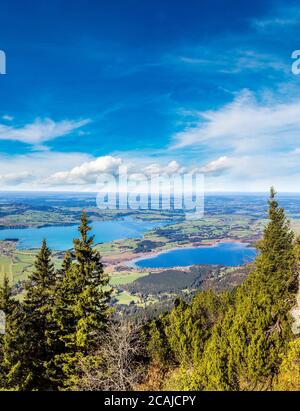 Champs verts à côté du château de Neuschwanstein en Allemagne Banque D'Images
