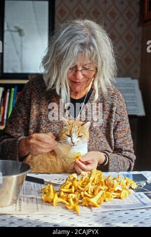 Femme nettoyant chanterelles, avec un peu d'aide de son chat, Suède Banque D'Images