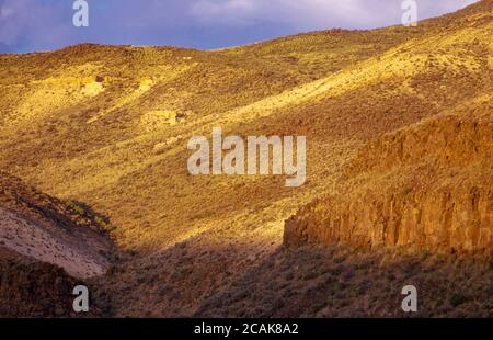 Owyhee River Canyon, Oregon du Sud-est, désormais une région sauvage et une rivière sauvage et pittoresque. Plateau volcanique de basalte, rhyolite, falaises de tuf et canyons. Banque D'Images